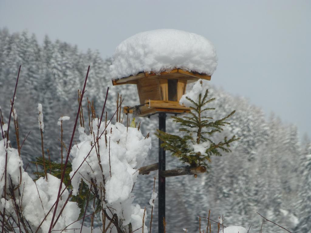 Guesthouse Mountain View โกรสเคียร์ชไฮม์ ภายนอก รูปภาพ